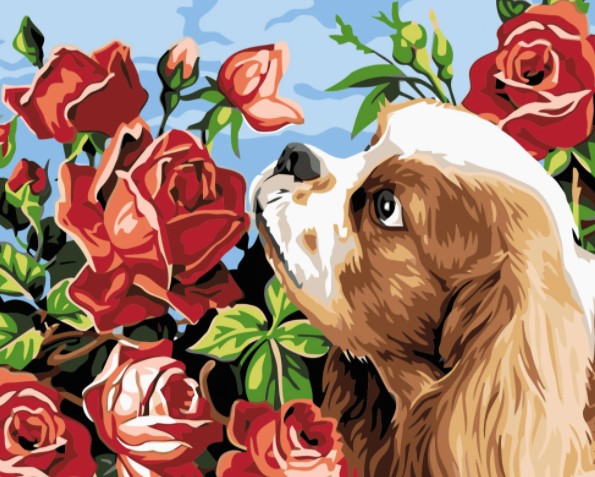 Paint By Numbers Dog And Roses 40x50