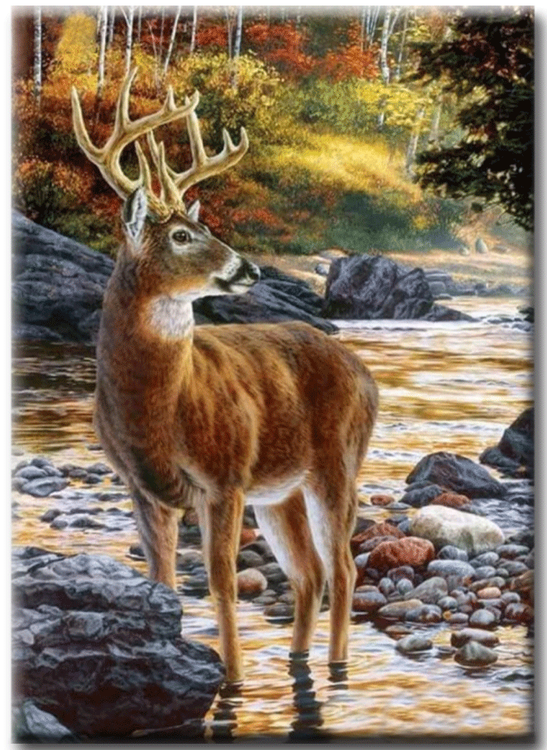 Diamanttavla Deer In River 40x50