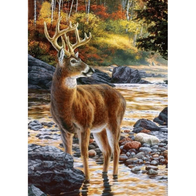 Diamanttavla Deer In River 40x50
