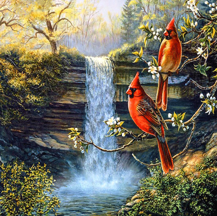 Diamanttavla Birds And Waterfall  50x50