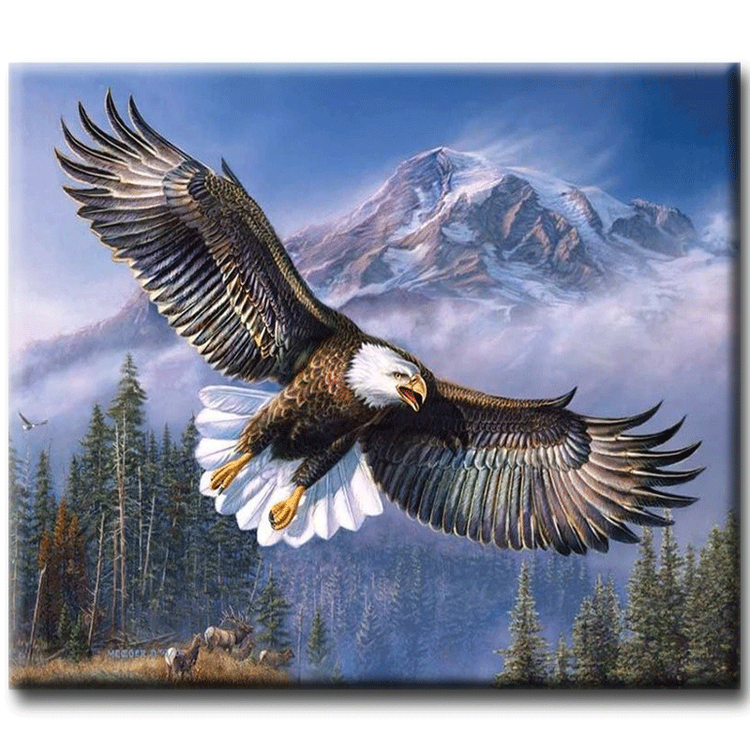 Diamanttavla (R) Eagle 40x50