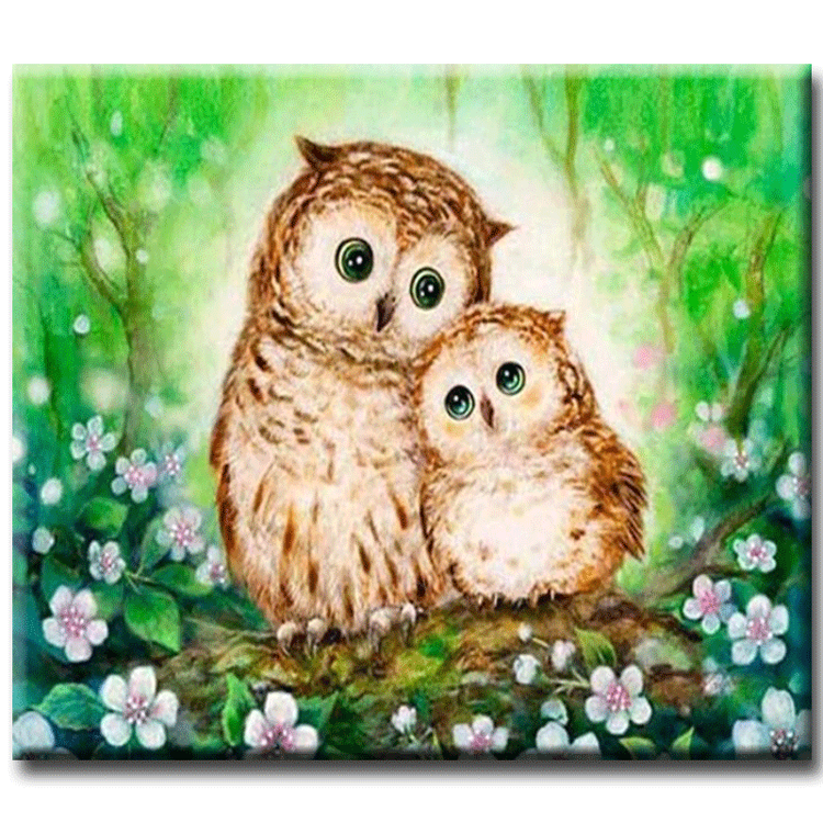 Diamanttavla Cute Owls 40x50