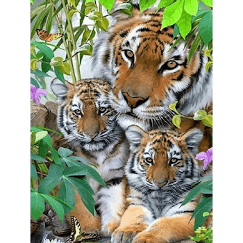 Diamanttavla Tiger With Tigerbabys 40x50