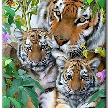 Diamanttavla Tiger With Tigerbabys 40x50
