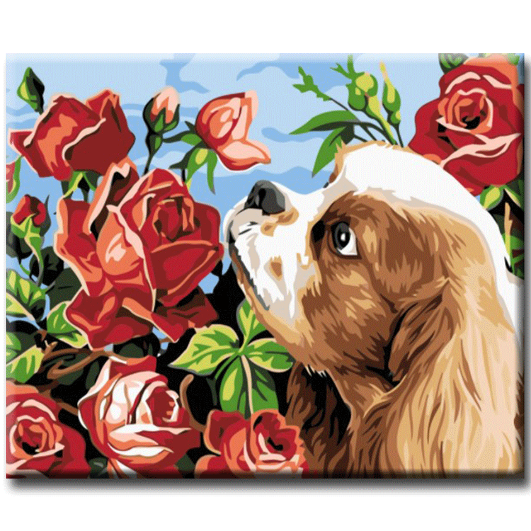 Paint By Numbers Dog And Roses 40x50