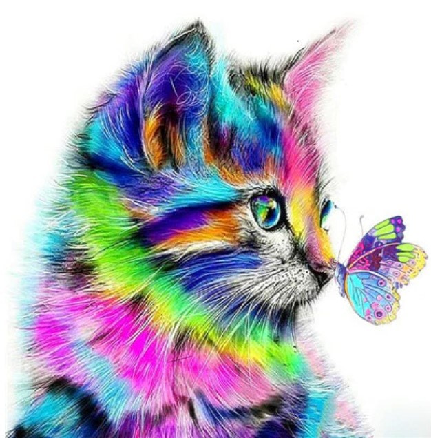 Diamanttavla Colorful Cat And Butterfly 40x50