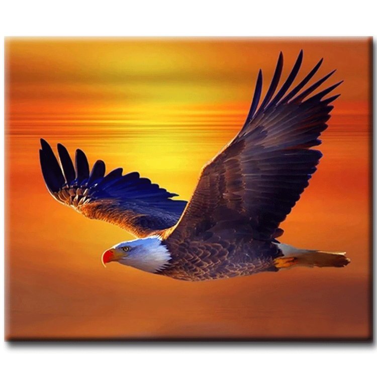 Diamanttavla (R) Sunset Eagle 40x50