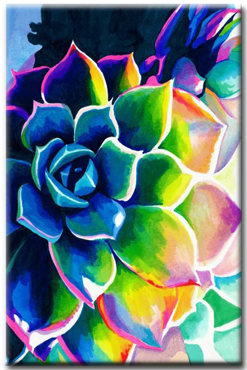 Diamanttavla Color Succulent 30x40