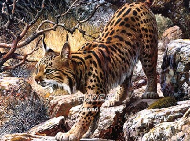 Diamanttavla Leopard Lynx 40x50