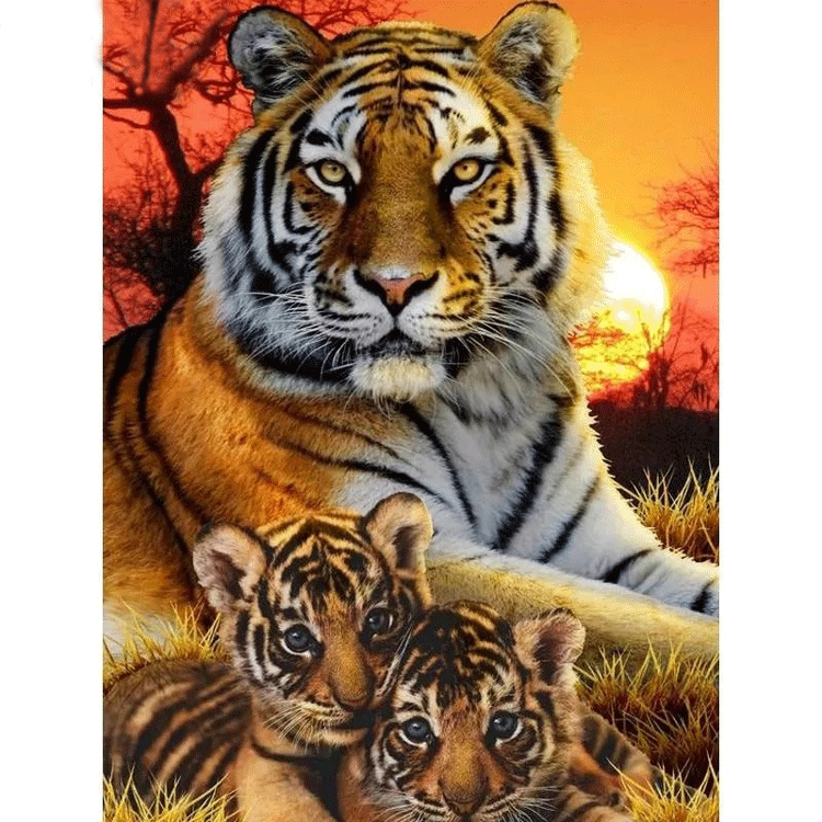 Diamanttavla Sunset Tigers 40x50