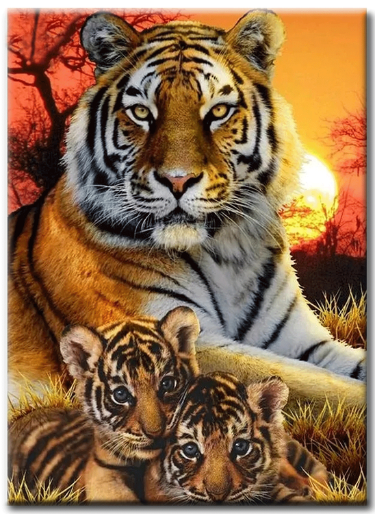 Diamanttavla Sunset Tigers 40x50