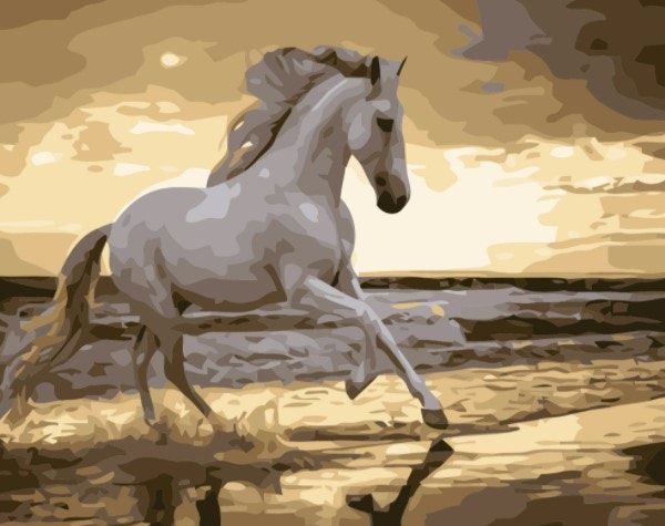 Paint By Numbers Ocean Wild Horse 40x50