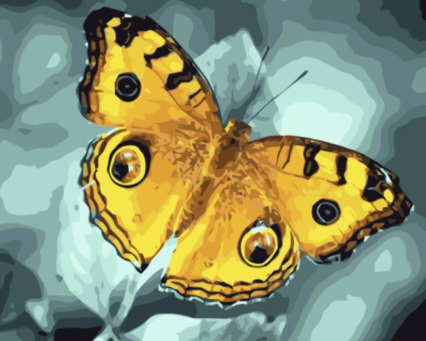 Paint By Numbers Yellow Butterfly 40x50