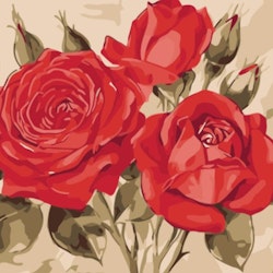 Paint By Numbers Beautiful Red Roses 40x50
