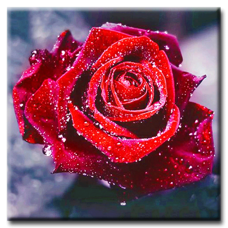 Diamanttavla Red Rose 30x30 - Leveranstid 1-3 Dagar