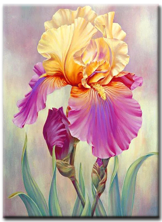 Diamanttavla Iris Flower 30x40