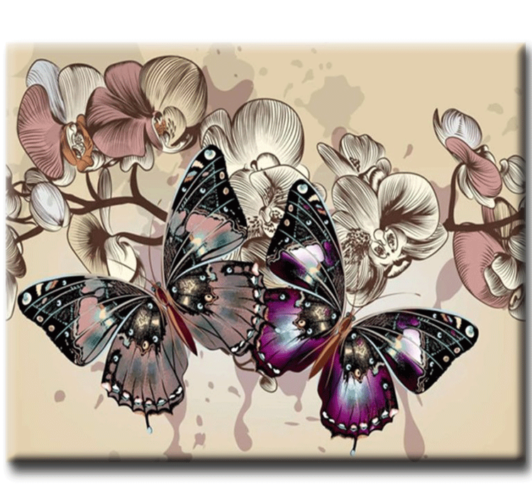 Diamanttavla Butterfly Orchid 40x50