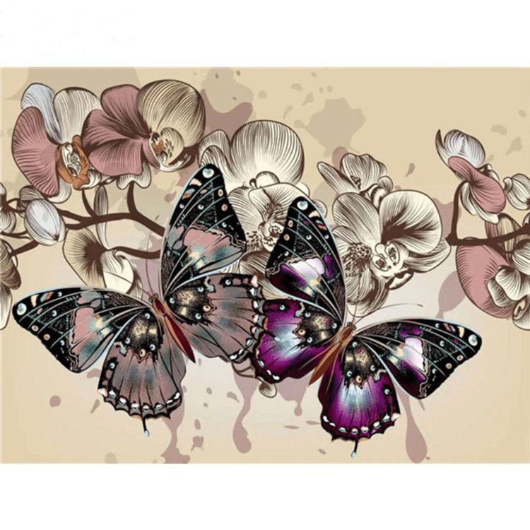 Diamanttavla Butterfly Orchid 40x50