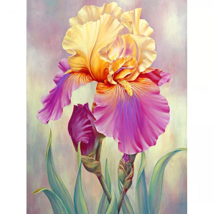 Diamanttavla Iris Flower 40x50