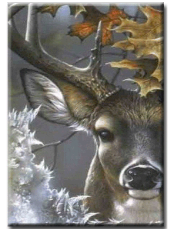 Diamanttavla Deer In Wood 50x70 - Leveranstid 1-3 Dagar