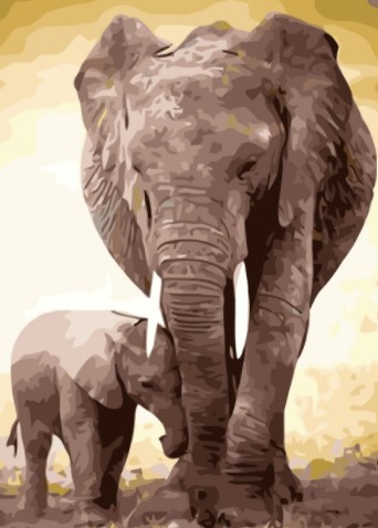 Paint By Numbers Elephant Motherlove  50x70