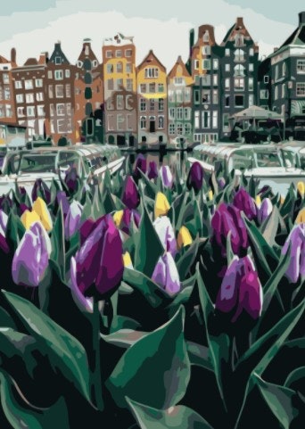 Paint By Numbers City Purple Tulips 50x70