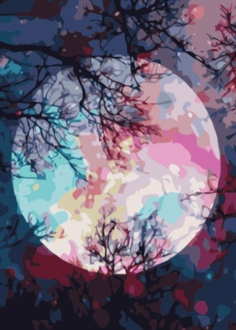 Paint By Numbers Color Moon 50x70