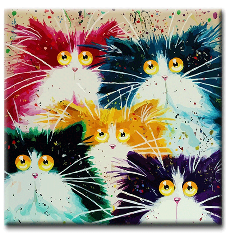 Diamanttavla (R) Color Cats 50x50