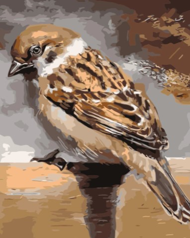 Paint By Numbers Sparrow 40x50