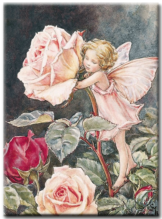 Diamanttavla Little Rose Fairy 40x50