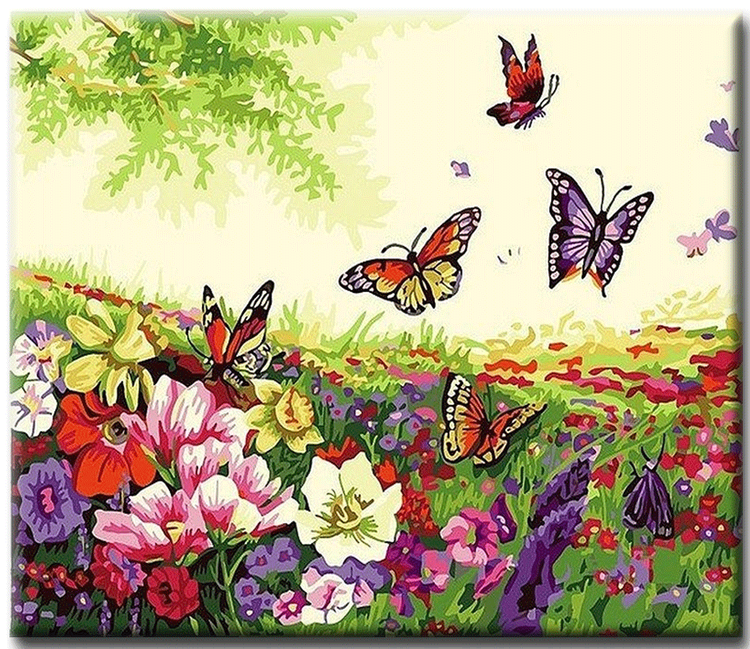 Paint By Numbers Butterflies 40x50
