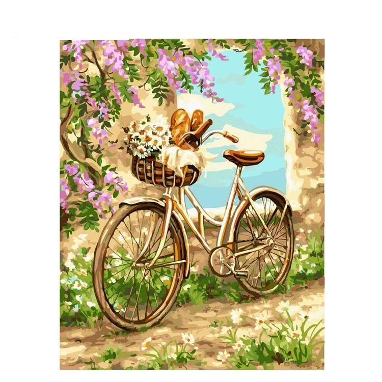 Paint by Numbers Picnic Bike 40x50