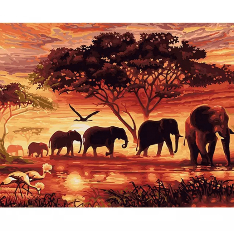 Paint By Numbers Elephants 40x50