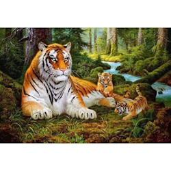 Paint By Numbers Tigerfamily 40x50