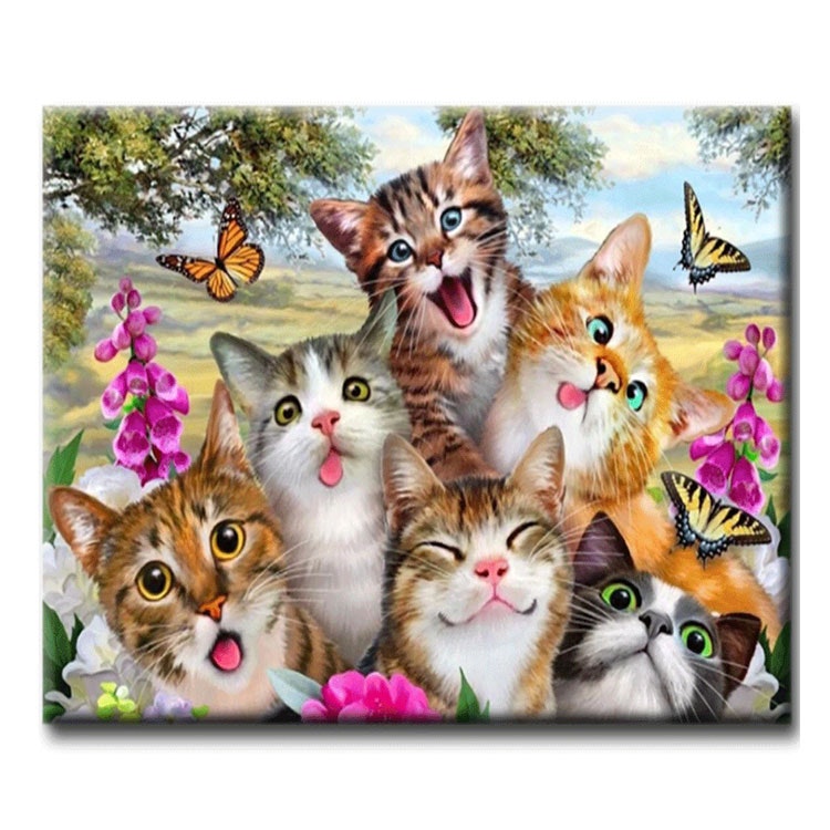 Diamanttavla Funny Cats 40x50