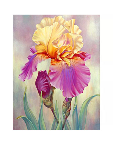 Diamanttavla (R) Iris Flower 40x50