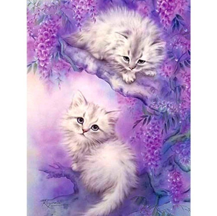 Diamanttavla Lovely Kittens 40x50