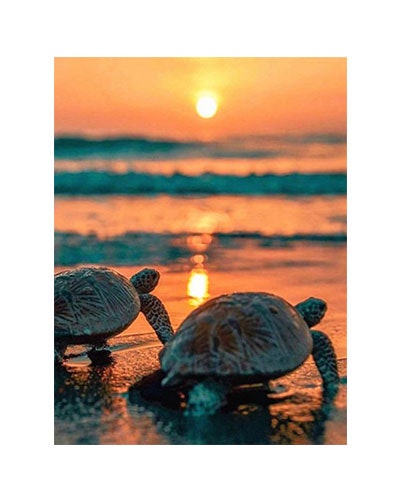 Diamanttavla (R) Turtles Sunset 40x50