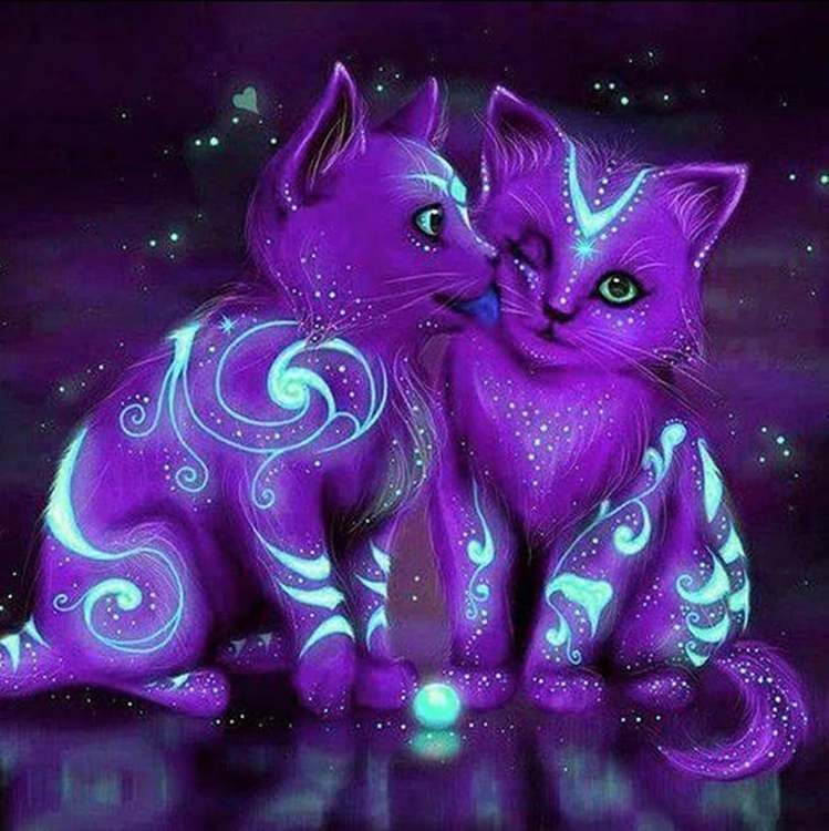 Diamanttavla Purple Neon Kittens 30x30