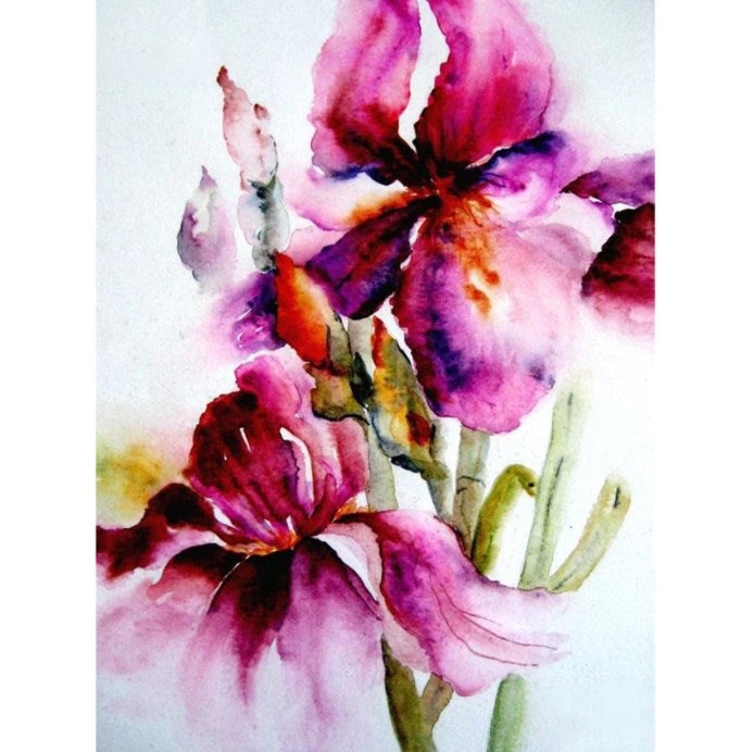 Diamanttavla Watercolor Flowers 40x50