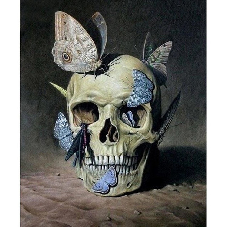 Diamanttavla Butterfly Skull 40x50