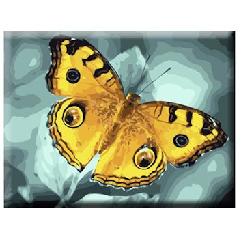 Paint By Numbers Yellow Butterfly 40x50