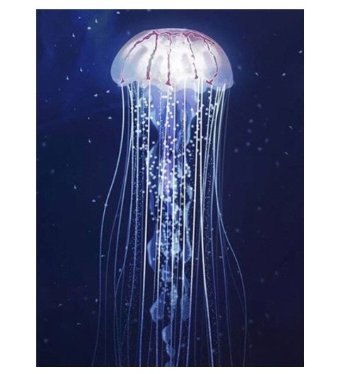 Diamanttavla Jellyfish 40x50