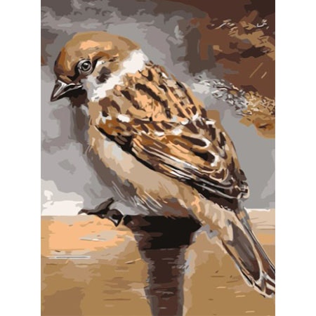 Paint By Numbers Sparrow 40x50