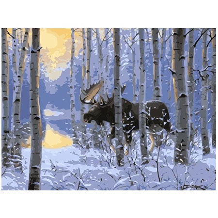 Paint By Numbers Winter Moose 40x50