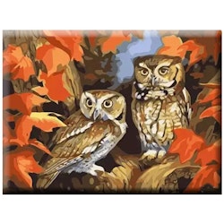 Paint By Numbers Autum Owls 40x50