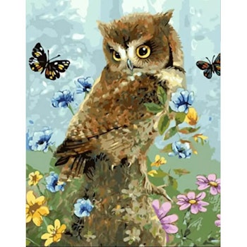 Paint By Numbers Spring Owl 40x50