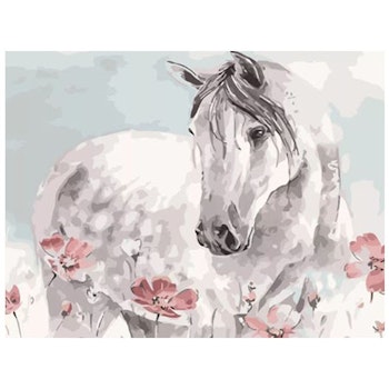 Paint By Numbers Horse Pink Poppy 40x50