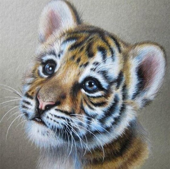 Diamanttavla Tigerbaby 40x40