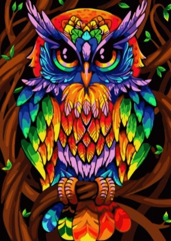 Paint By Numbers Color Owl 50x70- Leveranstid 1-3 Dagar
